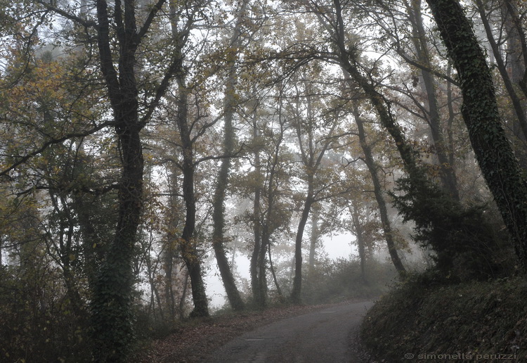 ci sono cose in un silenzio....